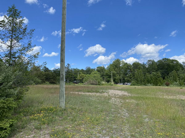 Tawas Drive-In Theatre - June 17 2022 Photo